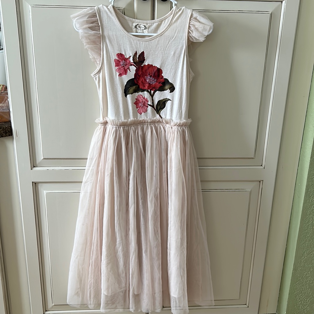 Size 10 Joyfolie Dress